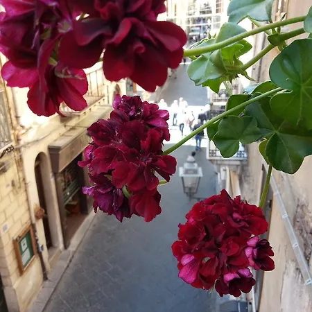 Del Corso * Cefalù