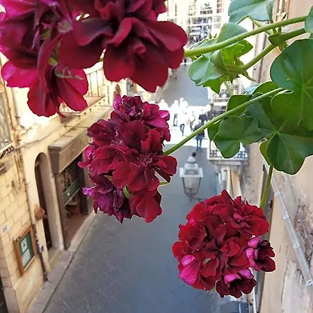 Del Corso