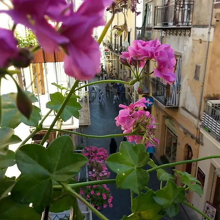 Del Corso